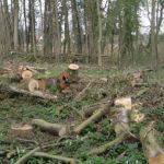 4 mai 2011 Manifestation à Bartenheim : Stop au grignotage de la forêt !